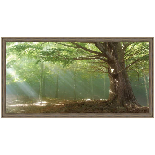 Forest Sunbeams Framed Art