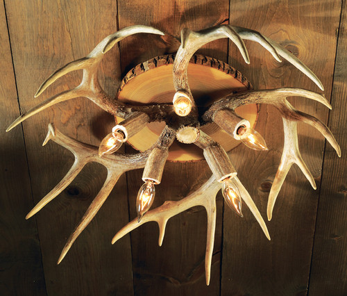 Antler Lighting & Decor