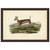 Long-Tailed Deer Framed Print