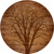 Oak Tree Lazy Susan