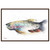 Rainbow Trout River Wall Art