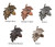 Star Cup Drawer Pulls - Set of 2