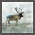 Winter Elk Canvas Art