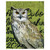 Woodland Owl Canvas Art