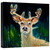 Young Buck Canvas Wall Art