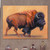 Buffalo Plains Outdoor Wall Art