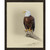 An Eagle's View Framed Canvas
