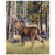 Wary Whitetail Jigsaw Puzzle (1000 pc)