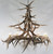 Elk Antler Chandelier - 12 Light