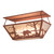 Waterside Bear Flush Mount Ceiling Light