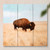 Golden Plains Buffalo Pallet Wall Hanging