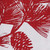 Red Pinecone Branch Dishtowel - Set of 2