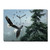 Soaring Eagles Wall Clock