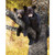 Bear Cub Love Personalized Block Mount - 16 x 20
