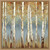 Birch Grove I Canvas Art