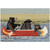 Canoe Bears Indoor/Outdoor Rug - 2 x 3