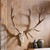 Elk Antler Wall Mount - Large