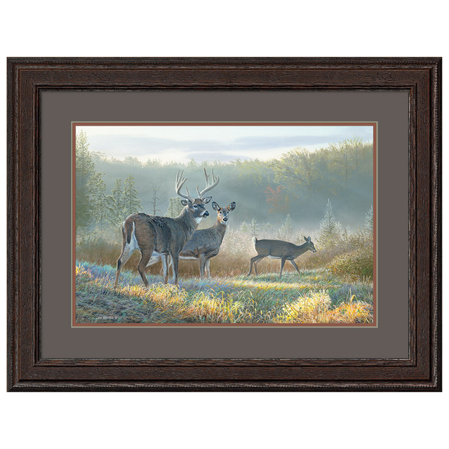 Apple Deer Framed Wall Art Black Forest Decor