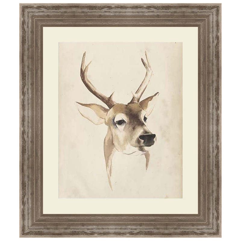 Watercolor Animal Study IV with Mat Framed Print