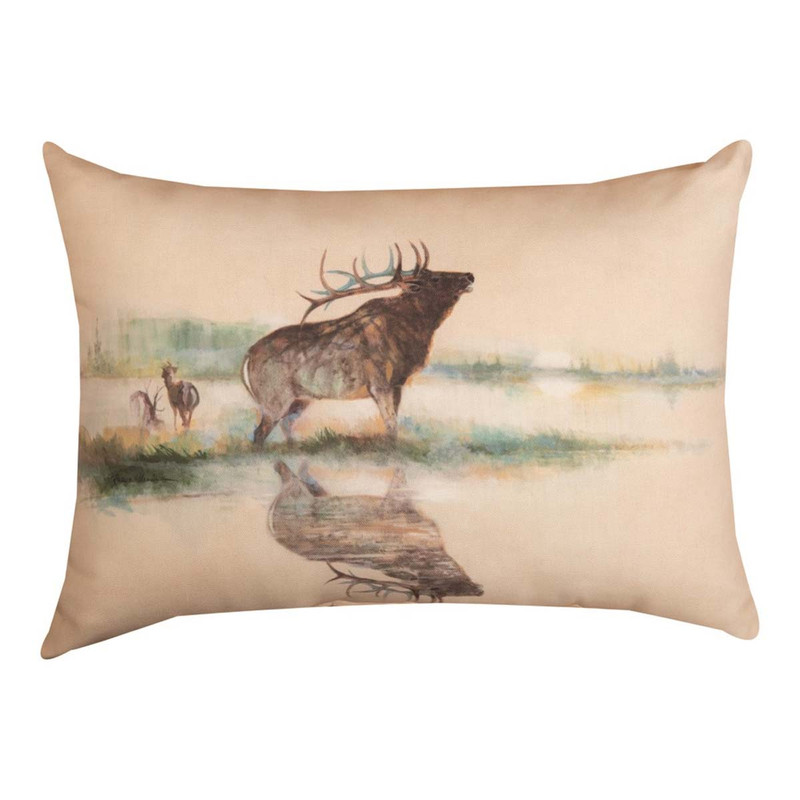 Majestic Reflections Indoor/Outdoor Pillow