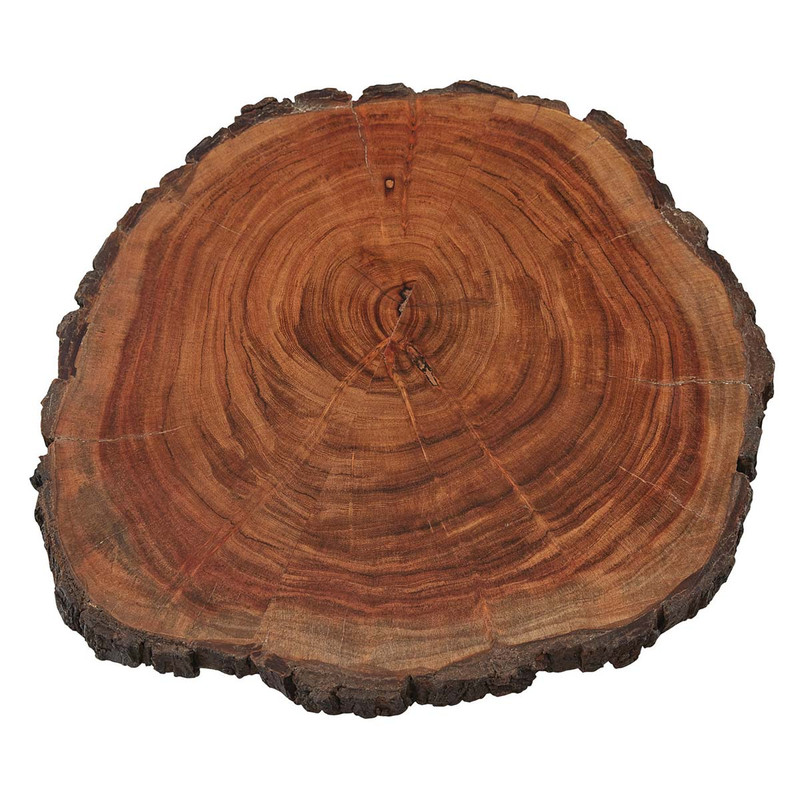 Tree Ring Lazy Susan - OUT OF STOCK UNTIL 08/09/2024