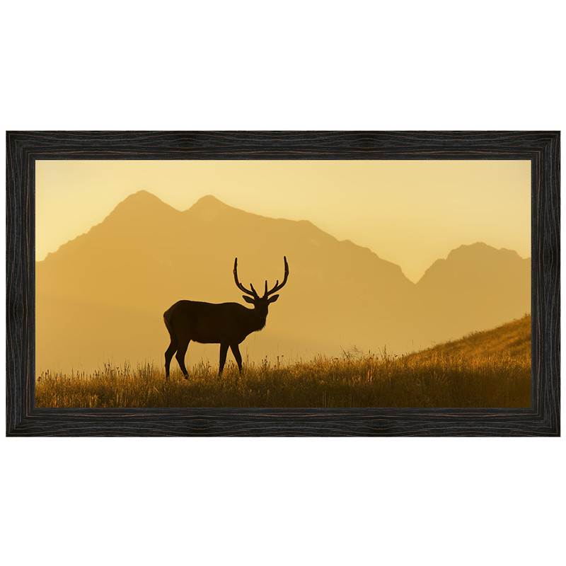 Elk Mountain Canvas Art