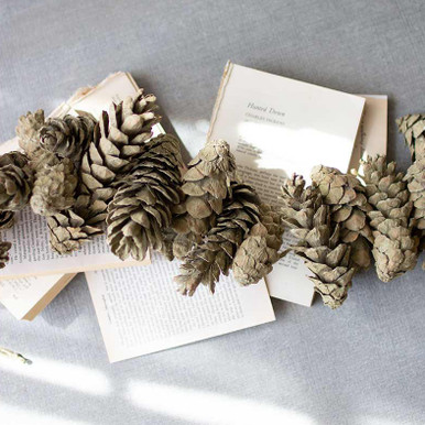 Snowy Pinecone Twig Garland - Set of 2