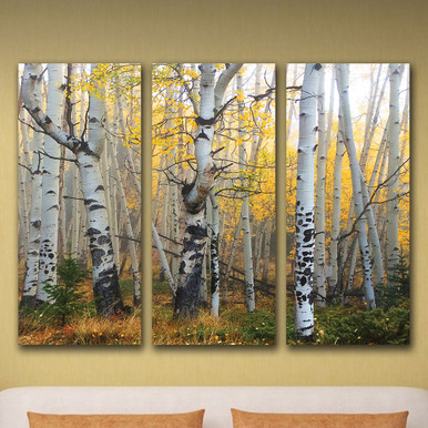 Large Personalized Aspen Wall Art (Set of 5)