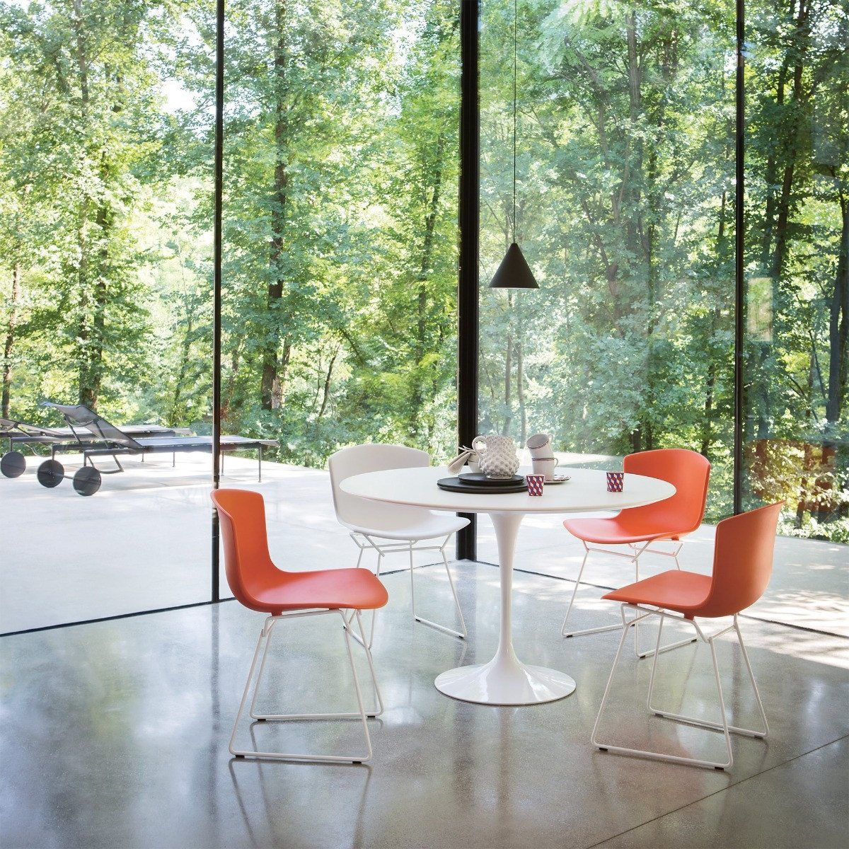 Bertoia Molded Shell Side Chair