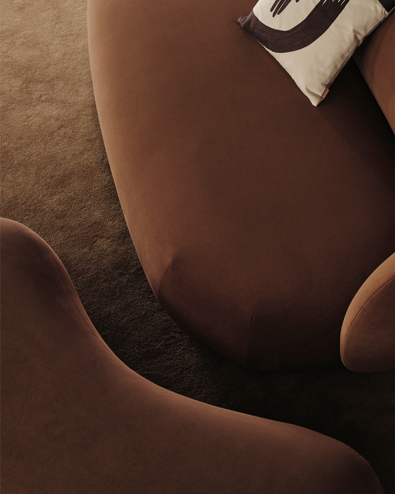 image--3