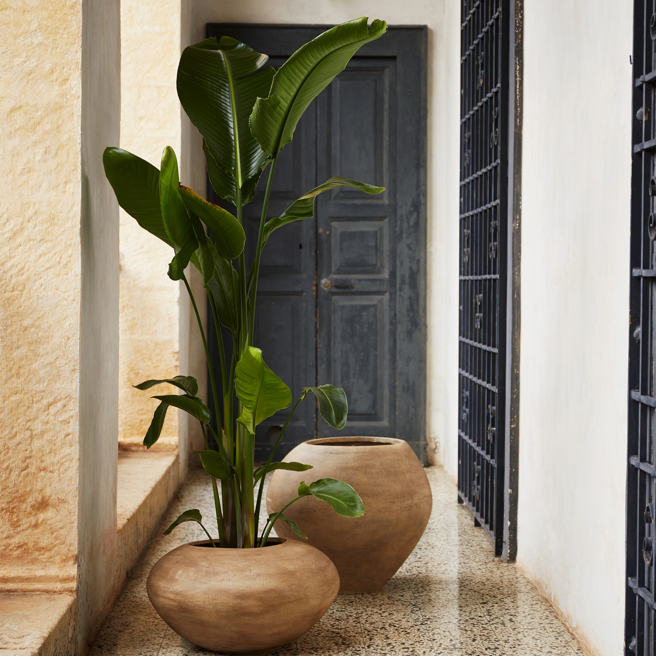 Dodu Pot - Thumbnail 2