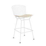 Bertoia Counter Stool