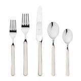 Fantasia Place Setting - 20 Piece Set