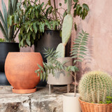 image--hover image--hover
