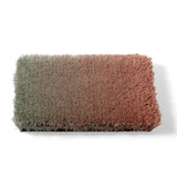Chameleon Rug