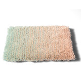 Chameleon Rug