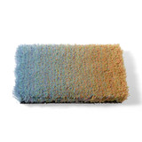 Chameleon Rug