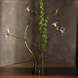 image--hover