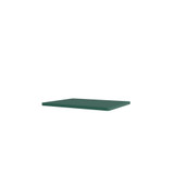 Panton Wire Single Inlay Shelf by Montana - front view