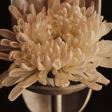 Agapé Floor Candleholder by Ferm Living - front view