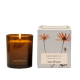 Orchard Sun Candle by  - front view