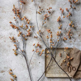 Artificial Oriental Bittersweet Berry Stems - Set of Four by  - front view