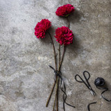 Artificial Real Touch Large Ruby Dahlia Stems - Set of Four by  - front view