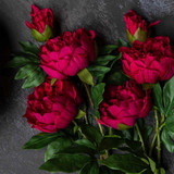 Artificial Real Touch Ruby Peony Stems - Set of Four by  - front view