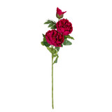 Artificial Real Touch Ruby Peony Stems - Set of Four by  - front view