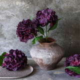  by  – lifestyle view