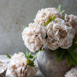  by  – lifestyle view