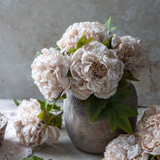 Peony Evening Dew Stems - Set of Four by  - front view