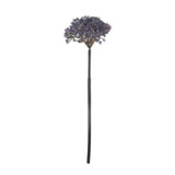 Artificial Mauve Trachelium Stems - Set of Four by  - front view