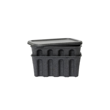 Paper Pulp Box-Set of Two Paper Pulp Box-Set of Two